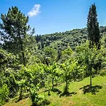 Hidden Gem In Nature Reserve Near The Beach - Corfu South